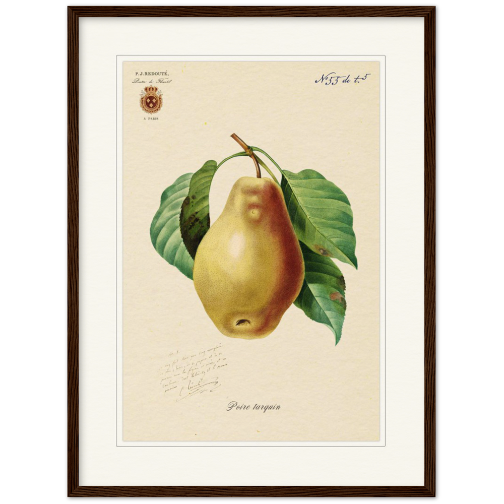Tarquin Pear