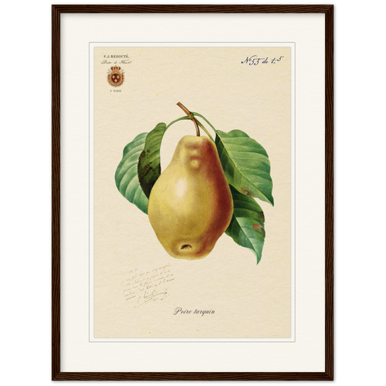 Tarquin Pear