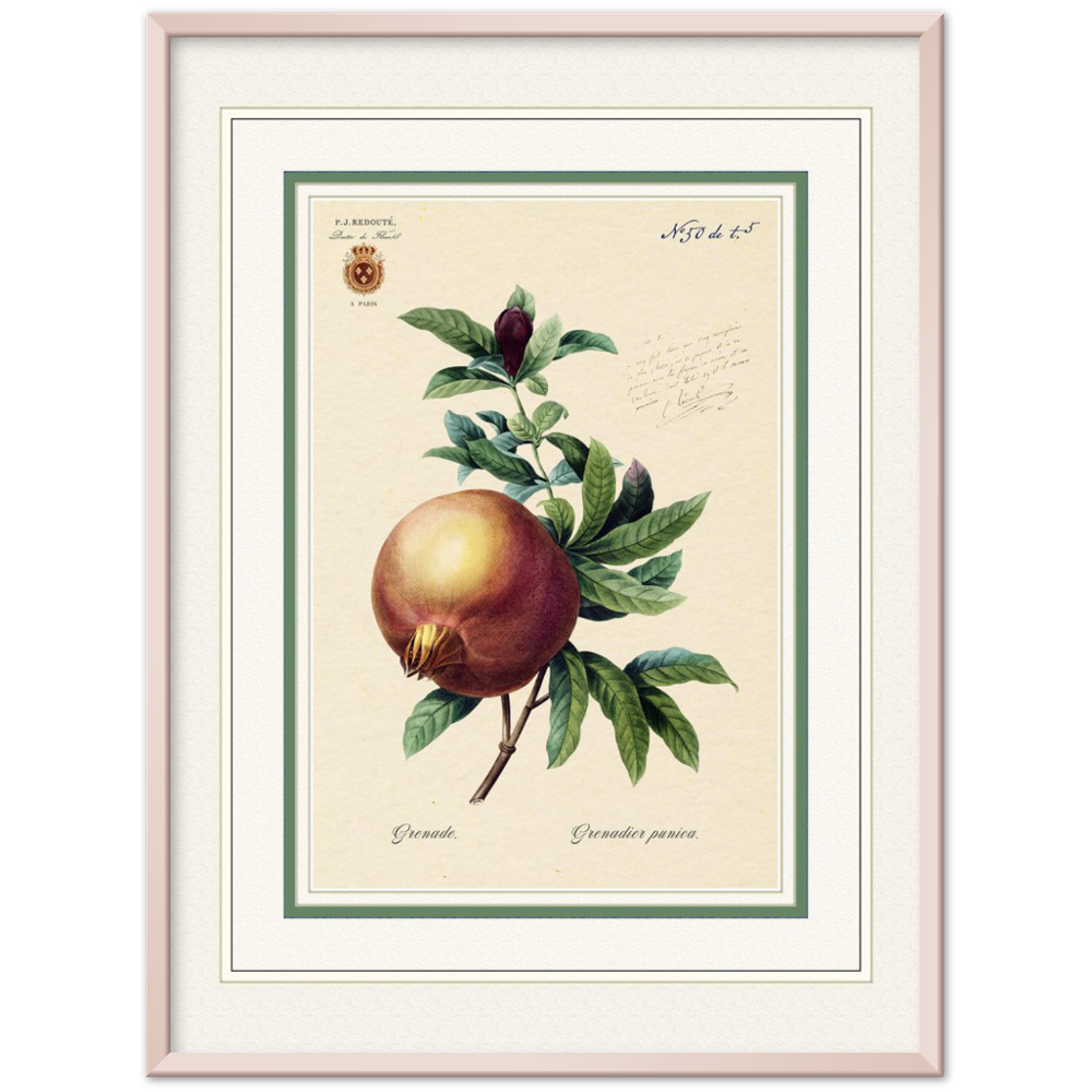 Pomegranate (mat and gold edition)