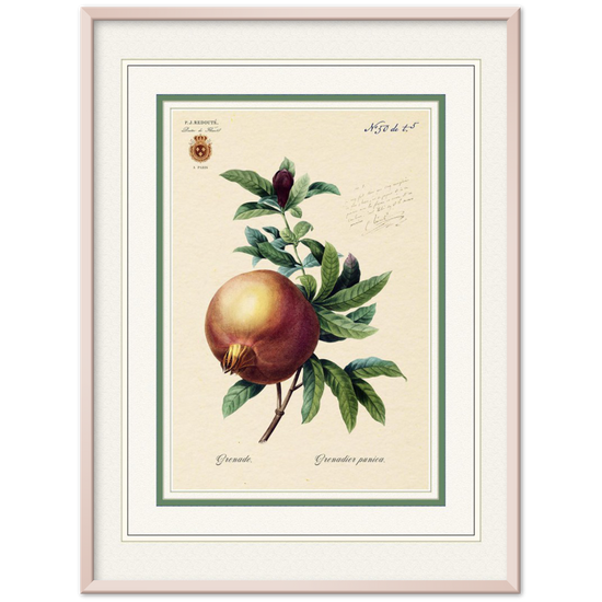 Pomegranate (mat and gold edition)