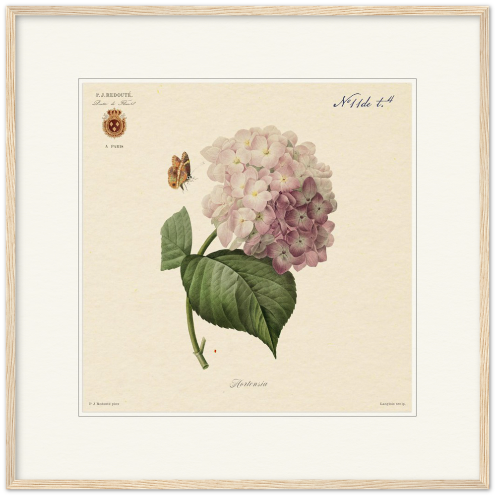 Pierre-Joseph Redouté, floral, flowers, art, wall art, flower prints, botanical, illustration, plants, roses
