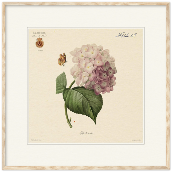 Pierre-Joseph Redouté, floral, flowers, art, wall art, flower prints, botanical, illustration, plants, roses