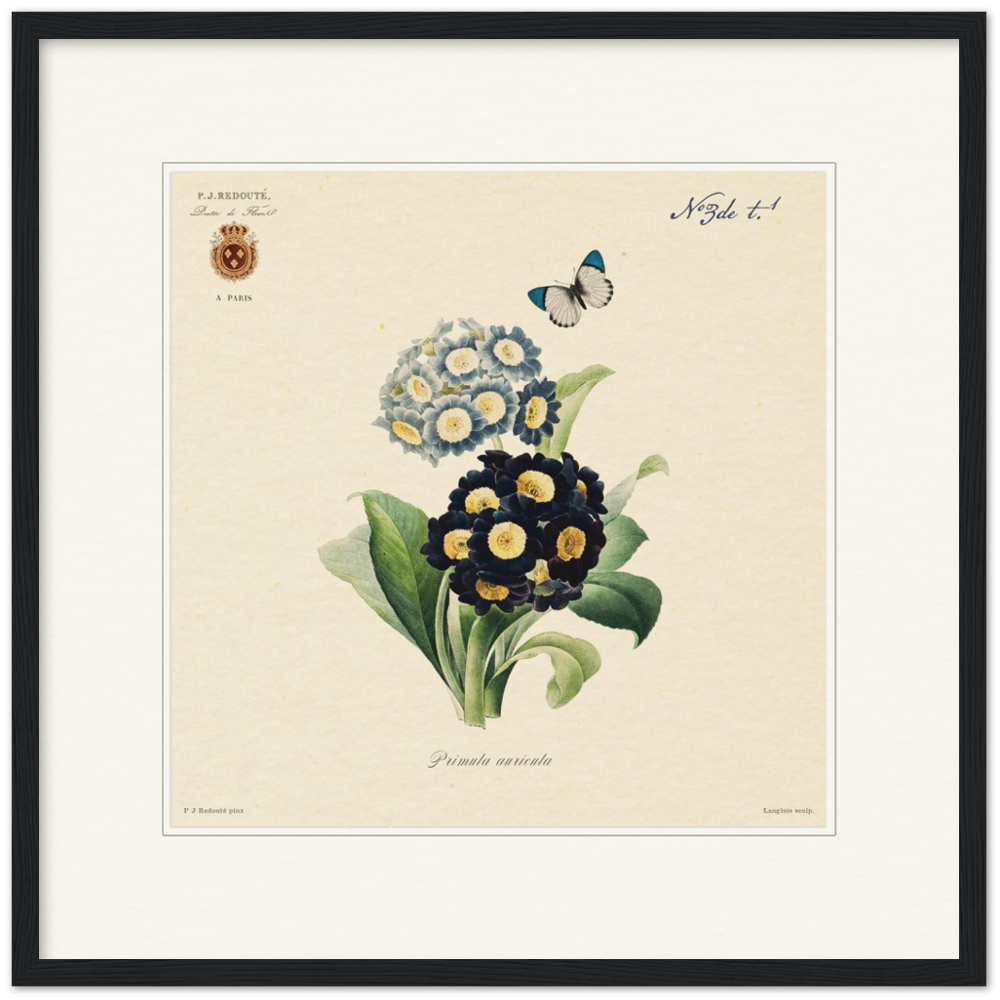 Pierre-Joseph Redouté, floral, flowers, art, wall art, flower prints, botanical, illustration, plants, roses