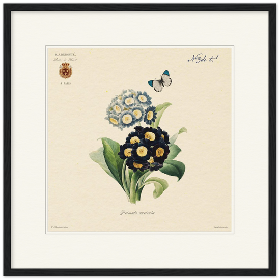 Pierre-Joseph Redouté, floral, flowers, art, wall art, flower prints, botanical, illustration, plants, roses