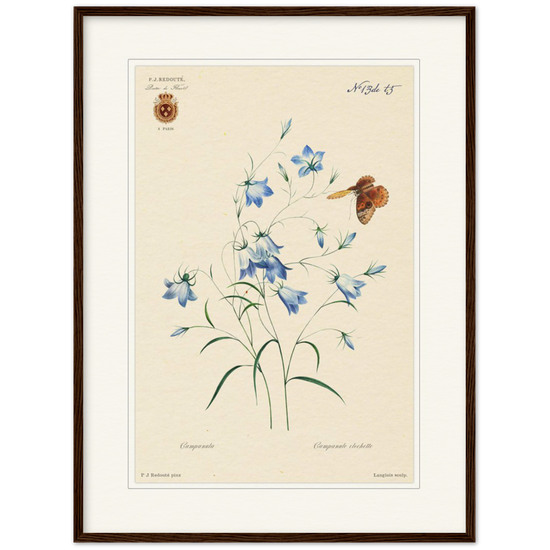 Pierre-Joseph Redouté, floral, flowers, art, wall art, flower prints, botanical, illustration, plants, roses