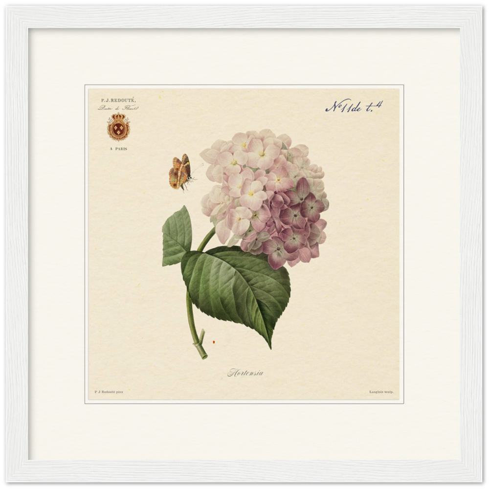 Pierre-Joseph Redouté, floral, flowers, art, wall art, flower prints, botanical, illustration, plants, roses