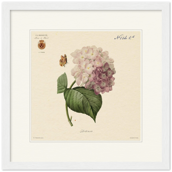 Pierre-Joseph Redouté, floral, flowers, art, wall art, flower prints, botanical, illustration, plants, roses